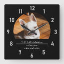 Search for chihuahua clocks Cute