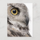Search for big head postcards Photography