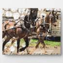 Search for horses in a photo collage Equine