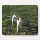 Search for dog walker mouse mats Coonhound