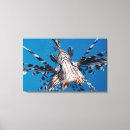 Search for bony fish posters Close up view