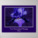 Search for bearded iris posters Purple