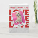 Search for valentinesday cards Dog