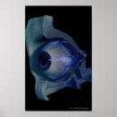 Search for 3d posters View