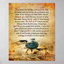 Search for turtle stuff posters For her