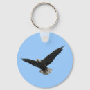 Search for bald eagle key rings Flying