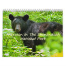 Search for raven calendars Wildlife