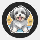 Search for havanese stickers Animal