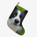 Search for border collies christmas stockings Dog