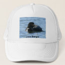Search for common hats Nature