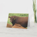 Search for dairy cow birthday cards Black