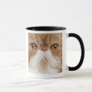 Search for exotics mugs Animals
