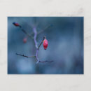 Search for cold postcards Background