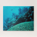 Search for coral reef puzzles Nature