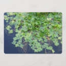 Search for irish blessing invitations Clover