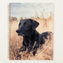 Search for pet sitting planners Animal