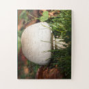 Search for forest puzzles Mushroom