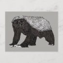 Search for fearless postcards Funny