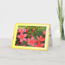 Search for meaningful cards Colourful