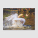 Search for manipulated gift wrap Photograph