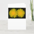 Search for dandelions cards Flower