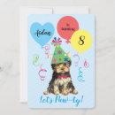 Search for yorkie puppies invitations Yorkshire terrier