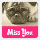 Search for hello greeting stickers Dog