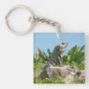 Search for iguana key rings Animal