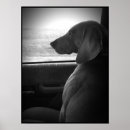 Search for shotguns posters Black and white