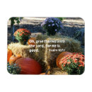 Search for 107 cards Autumn