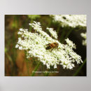 Search for chemistry posters Nature
