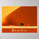 Search for namibia posters Nature