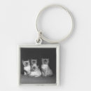 Search for looking up key rings Horizontal