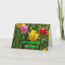 Search for spring time cards Red