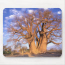Search for botswana electronics Safari