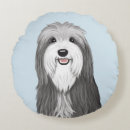 Search for collie cushions Cute