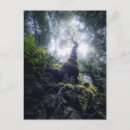 Search for canary vertical postcards Landscape