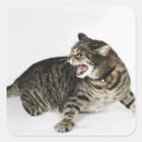 Search for hiss stickers Cats
