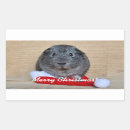 Search for guinea pig stickers Pet