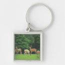 Search for blurred key rings Outdoors