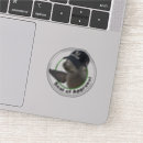 Search for it humor stickers Coworker