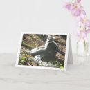 Search for ring tailed cards Primate