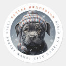 Search for black bull stickers Pitbull