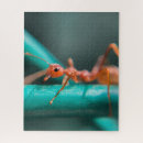 Search for ants puzzles Cute