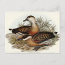Search for whistle postcards Bird