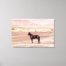 Search for desert canvas prints Summer