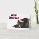 Search for grizzly bear cards Snow