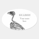 Search for picture of skull stickers Skeleton