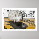 Search for hedgehog posters Animals