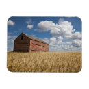 Search for farm magnets Summer